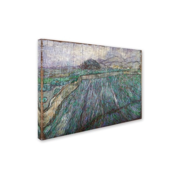 Van Gogh 'Rain' Canvas Art,14x19